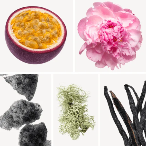 Duftnoten: Passionsfrucht, Pfingsrose, Moschus, Eichenmoos, Vanille Duftnoten: Passionsfrucht, Pfingsrose, Moschus, Eichenmoos, Vanille